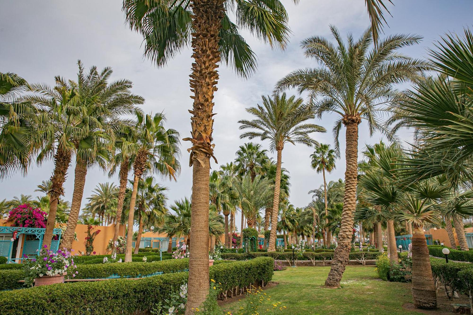Giftun Azur Resort Hurghada Luaran gambar