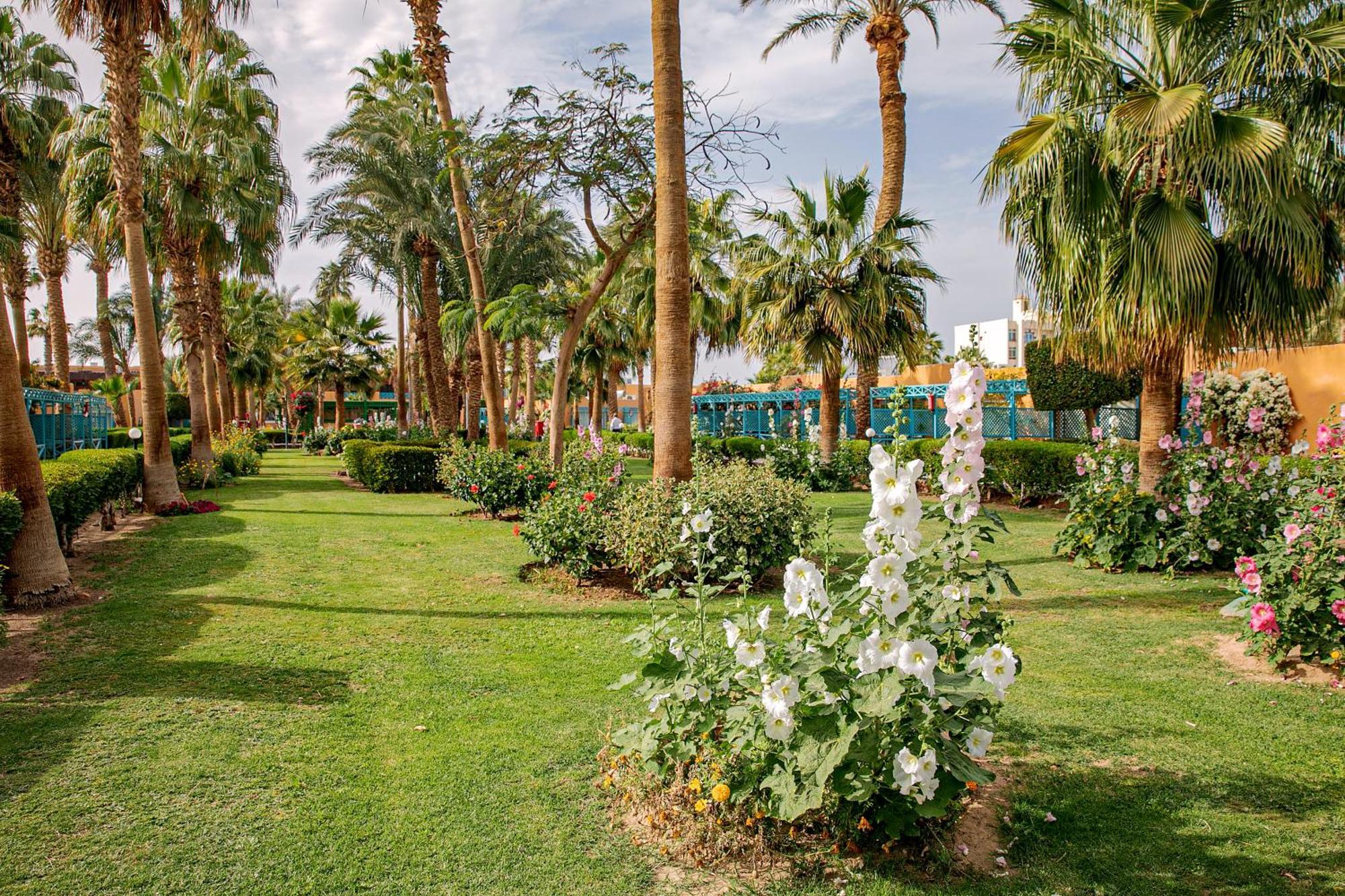 Giftun Azur Resort Hurghada Luaran gambar