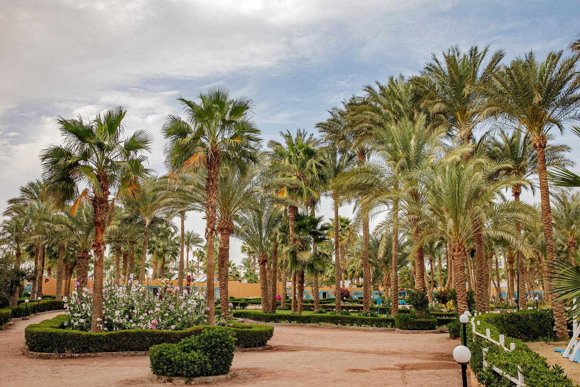 Giftun Azur Resort Hurghada Luaran gambar