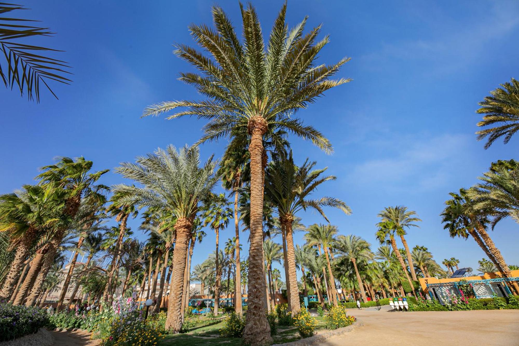 Giftun Azur Resort Hurghada Luaran gambar